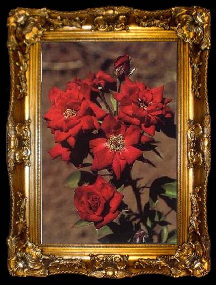 framed  unknow artist Still life floral, all kinds of reality flowers oil painting  239, ta009-2